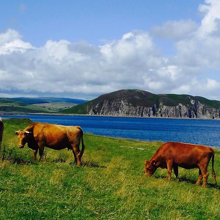 Rural Farmhouse On Kintyre, West Coast Hidden Gem Kildalloig 외부 사진