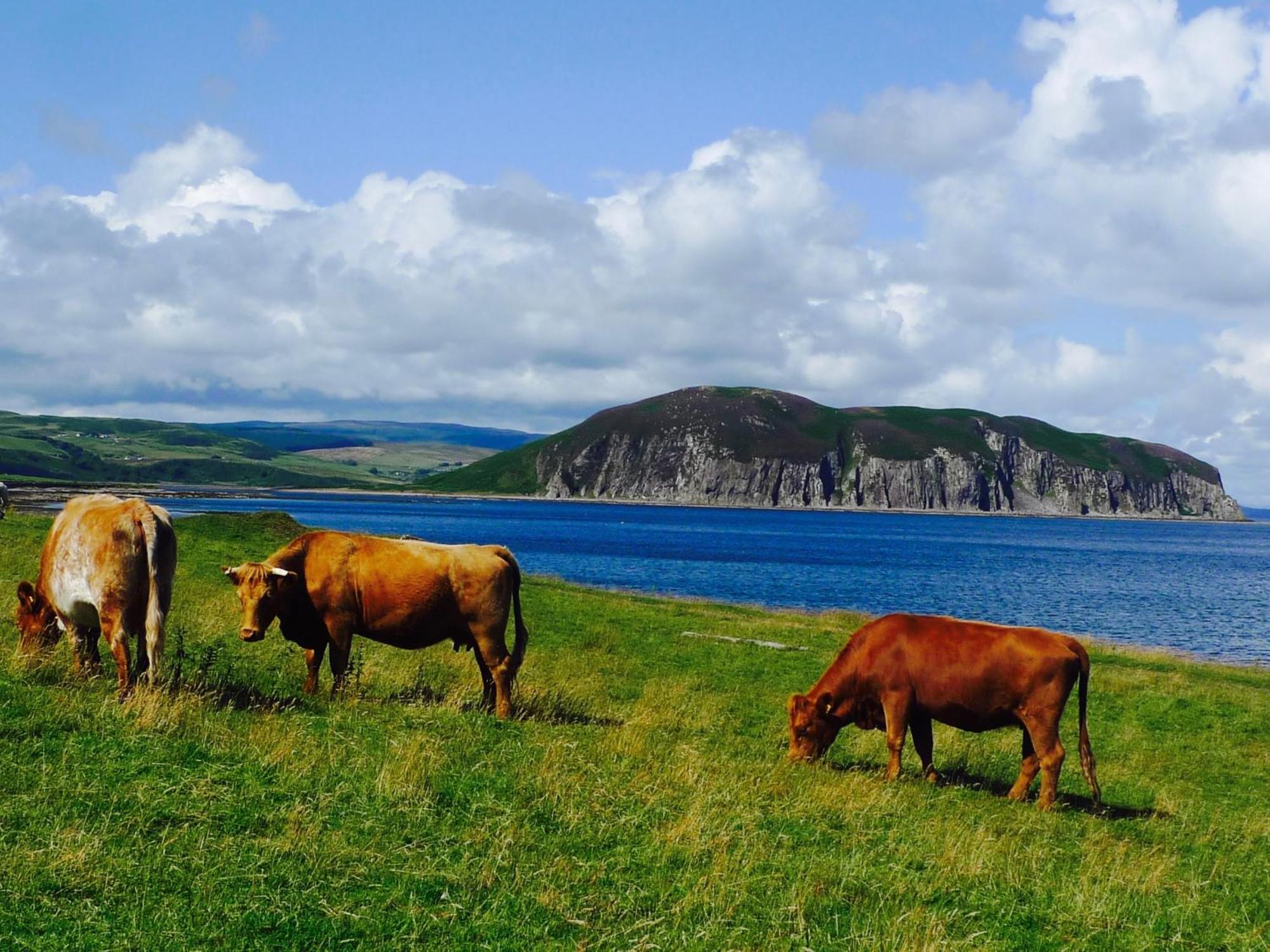 Rural Farmhouse On Kintyre, West Coast Hidden Gem Kildalloig 외부 사진
